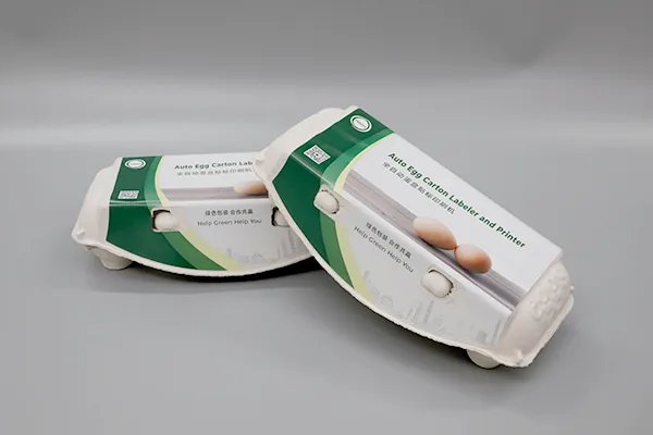 hghy Egg Cartons 01