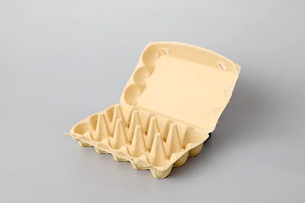 hghy Egg Cartons 05