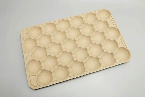 hghy Fruit Tray 01