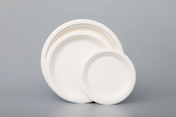 HGHY Disposable Tableware 04