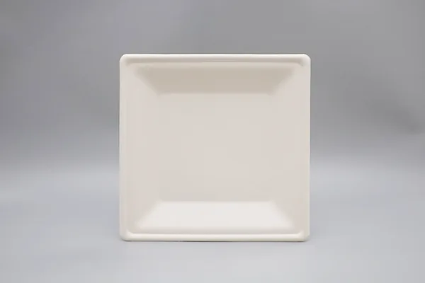 HGHY Disposable Tableware 06