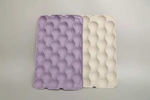 fruit-tray-2