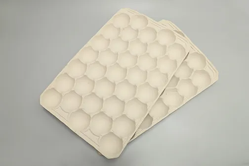 fruit-tray-4