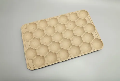 fruit-tray-5