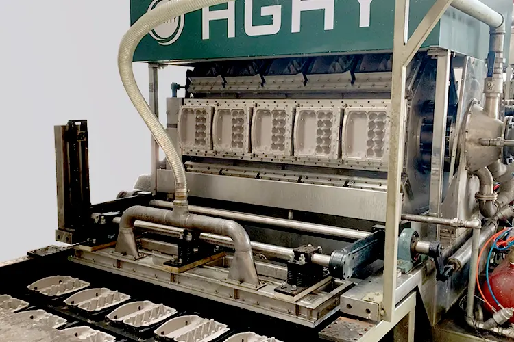 Egg Carton Making Machine - HGHY Automatic Pulp Molding Machine ｜Paper Tray
