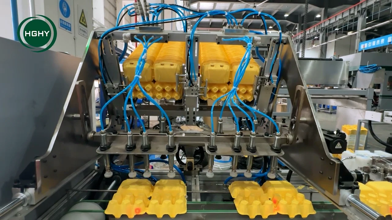 Egg-Carton-Labeling-Machine-7