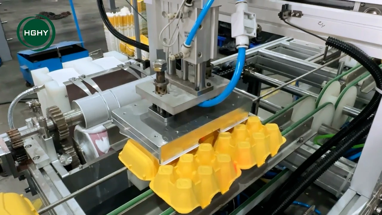 Egg-Carton-Labeling-Machine-8